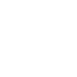 White Collar Crimes